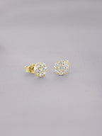 [EN-BR-HN-DL-OB-02] Elaine Broqueles Honey 0.49 cts OB 14K